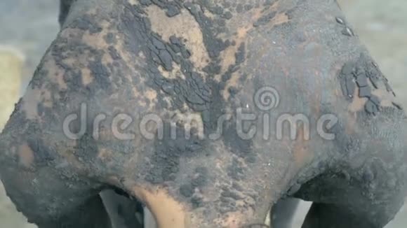 女孩移动她的肩膀和背部裂缝干燥的治疗泥浆从河口流出的泥浆皮肤护理视频的预览图