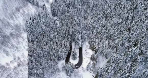 在山冬白雪覆盖的森林里在簪弯转弯的道路上向前俯视汽车白松松松视频的预览图