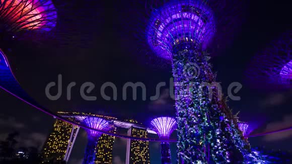 新加坡超级大树夜展视频的预览图