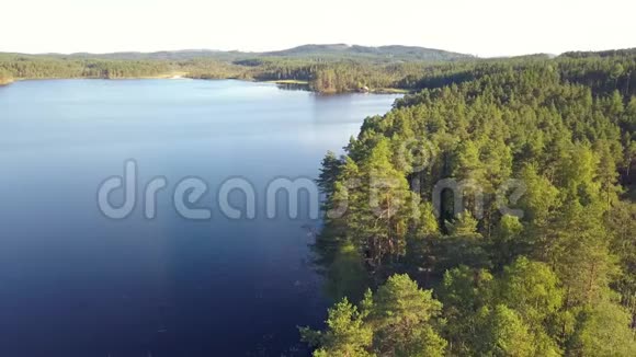 瑞典湖上空的无人机飞行视频的预览图