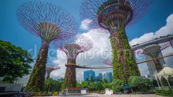 新加坡超级树运动时间推移视频的预览图