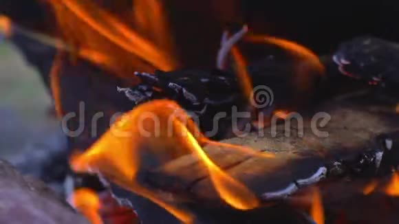 室外厨房木桩上做饭火上金属锅特写视频的预览图