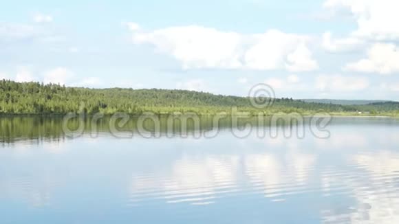 有森林的美丽湖泊景观俄罗斯池塘视频的预览图