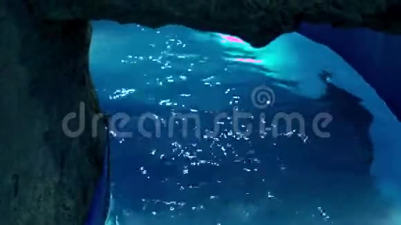 石底游泳池水面光滑视频的预览图