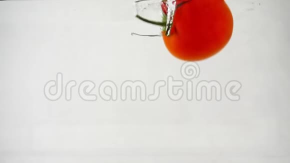 一个成熟的红番茄在白色背景下潜到水下视频的预览图
