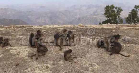 西米恩山的地方感盖拉达艾多比亚视频的预览图