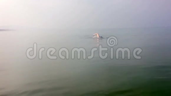 年轻的运动员在雾中游泳视频的预览图
