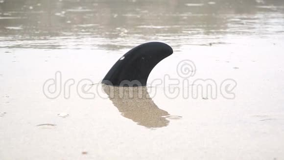 泰国假的塑料鲨鱼鳍视频的预览图
