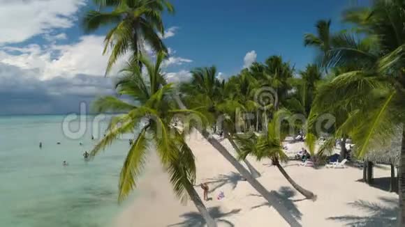 在多米尼加共和国蓬塔卡纳热带岛屿海滩上的空中录像棕榈树和白沙视频的预览图