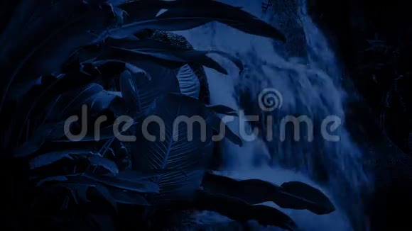夜晚丛林中的瀑布视频的预览图