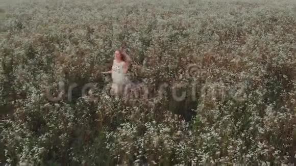 美丽的女人留着一头长发穿着一件白色连衣裙在田野里奔跑视频的预览图