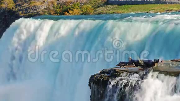 尼亚加拉瀑布的水墙视频的预览图