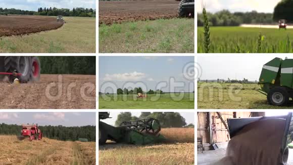 各种季节性农业工程视频剪辑拼贴视频的预览图