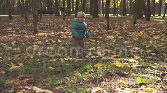 小男孩迈出第一步在公园里摔倒了秋天的一天视频的预览图
