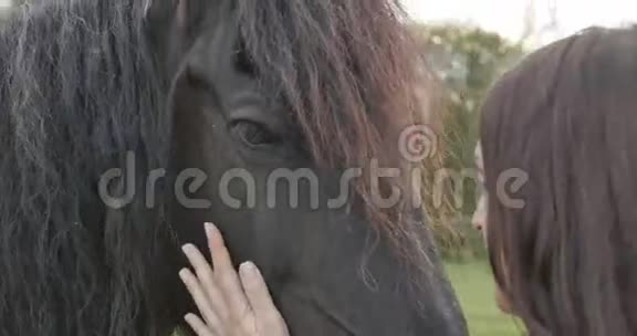 女孩抚摸一匹马很大视频的预览图
