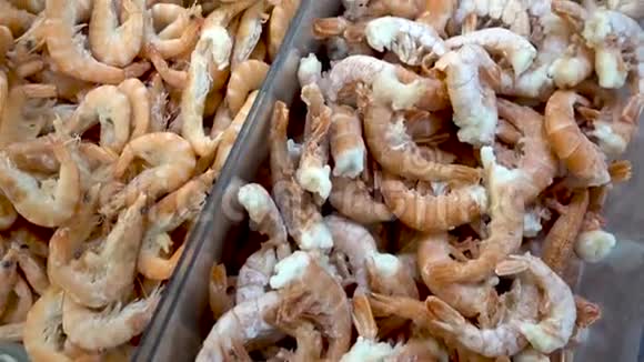 很多新鲜虾在冰上冷冻虾冷冻机视频的预览图