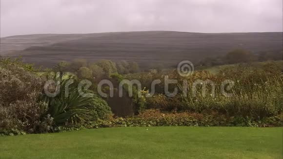 在爱尔兰风景上种植植物视频的预览图
