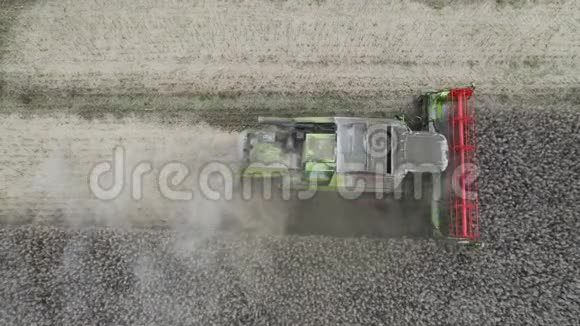 联合收割油菜籽无人机鸟瞰视频的预览图