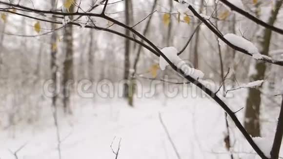 母亲在冬天的树林里拉着女儿上雪橇视频的预览图
