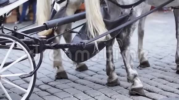 白色马车和带有木制轮辋的车轮视频的预览图