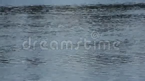 夏天的河水荡漾视频的预览图