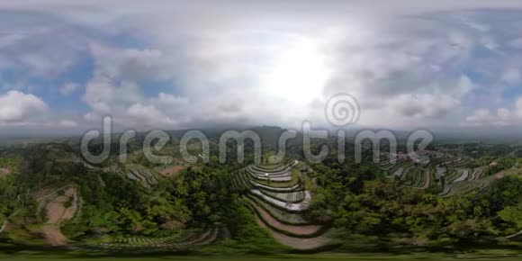 印度尼西亚热带景观农场土地vr360视频的预览图