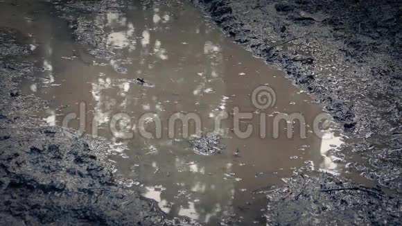 脚溅泥水坑视频的预览图