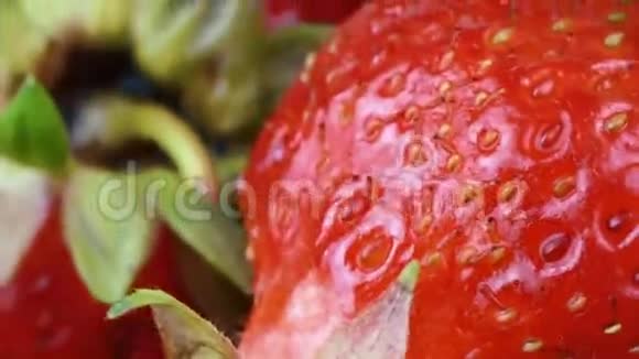 盘子里的草莓视频的预览图