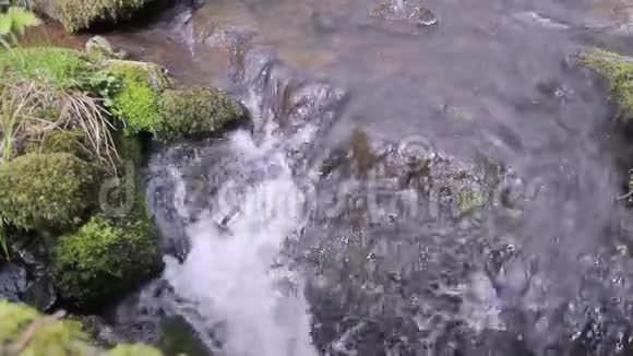 视频天然小溪的流水视频的预览图