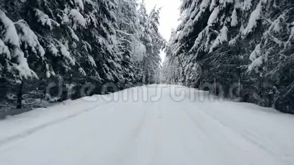 冬季森林的俯视图空中勘测视频的预览图