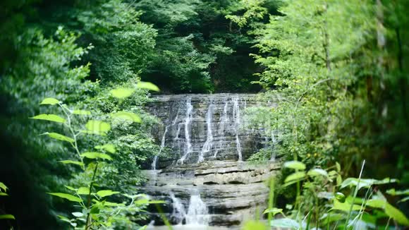 在野生丛林森林环境中美丽的瀑布和翡翠的淡水湖的风景自然4k慢视频的预览图