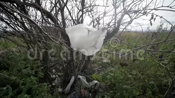 塑料袋粘在树枝上在风中飘动污染概念视频的预览图