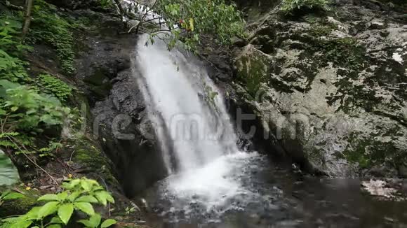 克鲁克岛瀑布视频的预览图