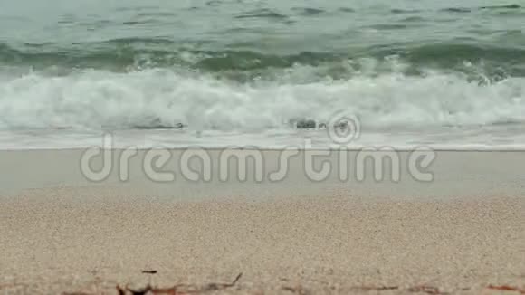 日出时年轻女子沿着海边的腿女孩踩着潮湿的海岸线沙视频的预览图