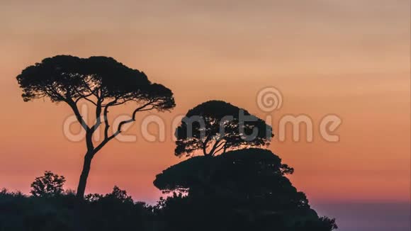 时间流逝美丽的夕阳落在意大利索伦托的意大利山上的树木后面视频的预览图