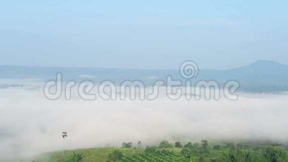 清晨的山天树雾视频的预览图