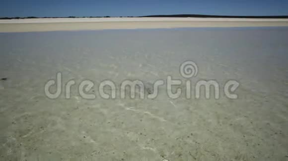 壳牌海滩的吉塔菲视频的预览图