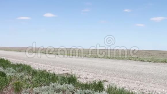 俄罗斯卡尔米基亚共和国草原上一条废弃的道路汽车沿着这条道路行驶视频的预览图