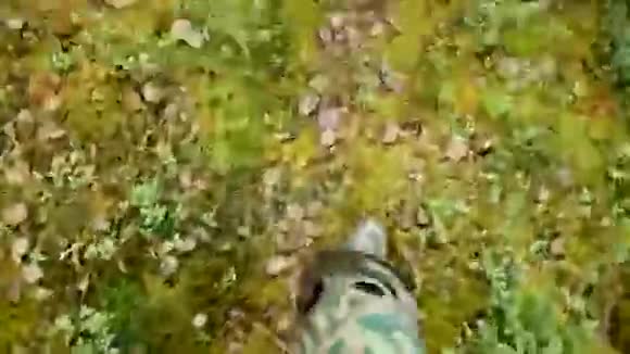 雨靴在森林中行走视频的预览图