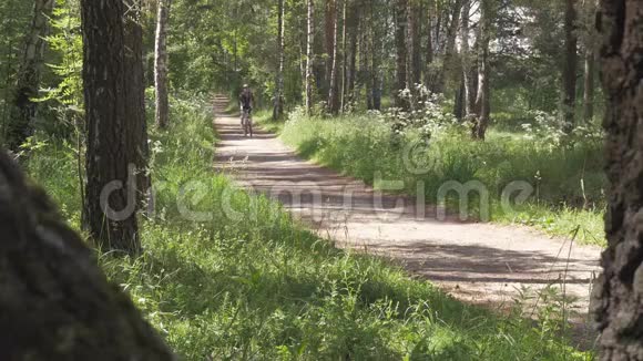 运动员男子骑自行车穿过森林健康的生活方式视频的预览图