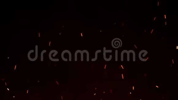 美丽的燃烧热火花上升从大火在夜空摘要孤立的黑色火焰发光粒子视频的预览图