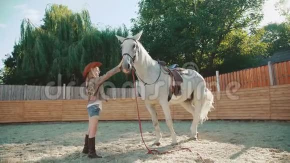 小女孩抚摸和抚摸一匹白马在这个地区4K视频的预览图