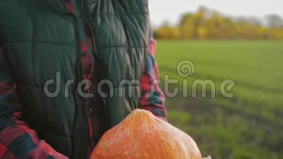 日落时分一个戴帽子的年轻女农夫手里拿着橘子南瓜在田野里南瓜收获农业视频的预览图