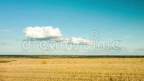 大自然的美丽麦田干草云彩时光视频的预览图