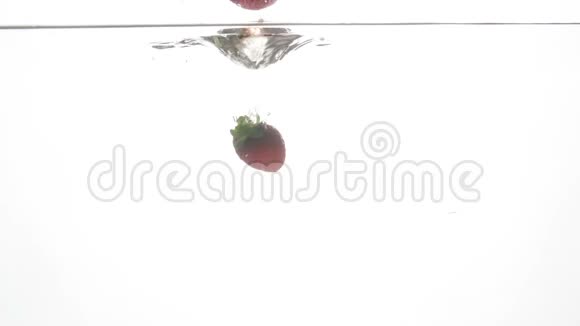 特写慢动作视频红色草莓在冰冷的清水中飘落飞溅视频的预览图