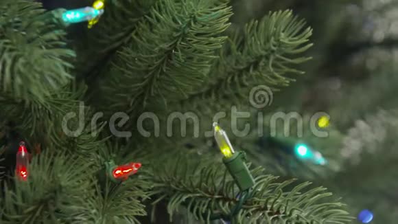 圣诞树修剪和装配调整灯视频的预览图