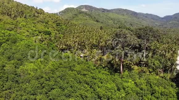 穿过椰子林泰国苏梅岛阳光明媚的一天穿过椰子棕榈路医生视频的预览图