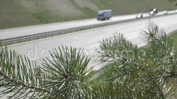 高速公路绿色植物视频的预览图