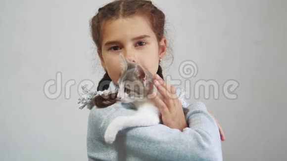 小女孩怀里抱着一只猫科什和女孩宠物友谊的关心和爱儿童和宠物猫的生活方式视频的预览图