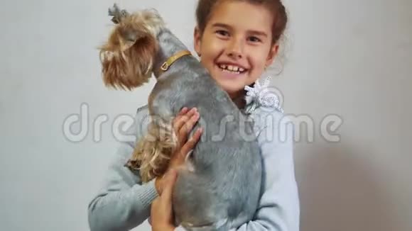 生活方式的小女孩抱着一只猫科什和女孩宠物友谊的关心和爱儿童和宠物猫视频的预览图